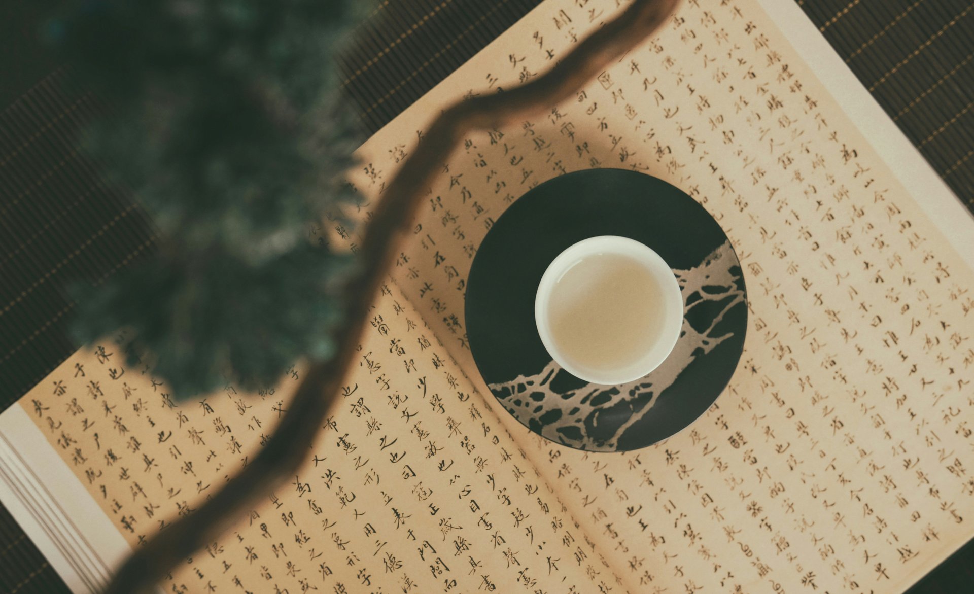 Chinese For Curious Learners and Professional